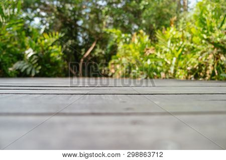 Blurred Nature Background Pattern Of Dark Wooden Floor With Lush Green Forest In The Background. Ban