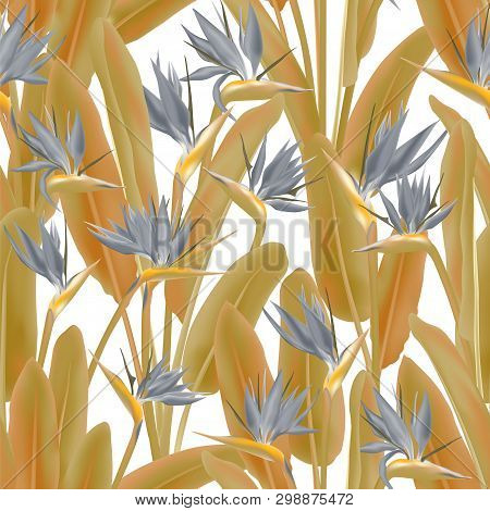 Tropical Crane Flower Vector Seamless Pattern. Jungle Plant Paradise Tropical Summer Fabric Design. 