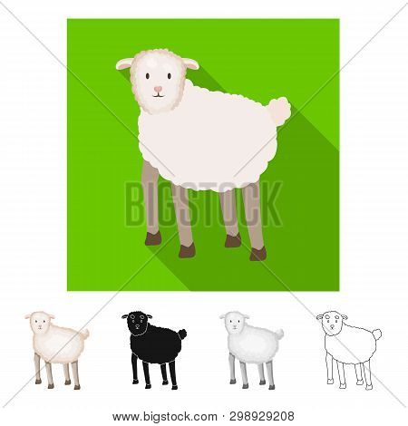 Vector Illustration Of Sheep And Anima Symbol. Set Of Sheep And Lamb Stock Vector Illustration.