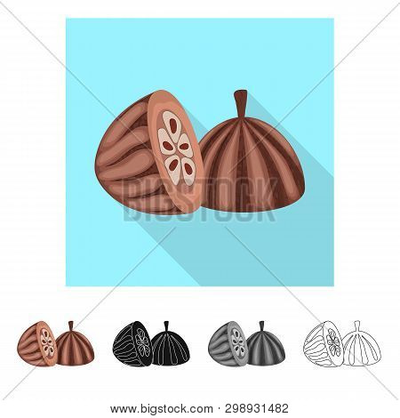 Isolated Object Of Seed And Chocolate  Sign. Set Of Seed And Fresh  Vector Icon For Stock.