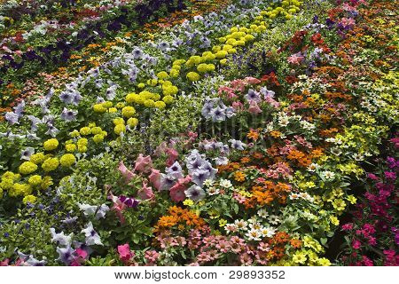 Smuk seng af blomster