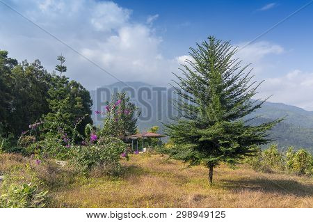 Dolgaon View Point Of Jhalong, Dooars - West Bengal , India