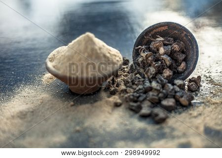 Popular Indian & Asian Ayurvedic Organic Herb Musli Or Chlorophytum Borivilianum Or Curculigo Orchio
