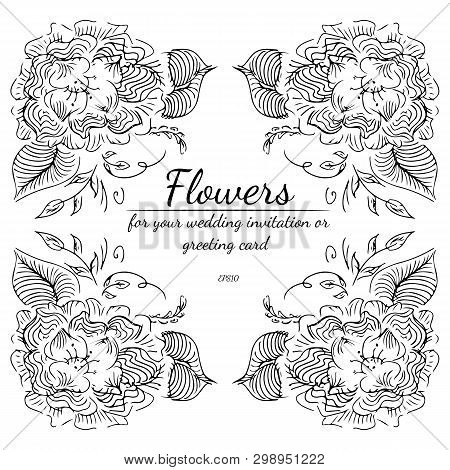 Wreath Of Black Roses Or Peonies Flowers And Branches On Gray Background. Foral Frame Design Element