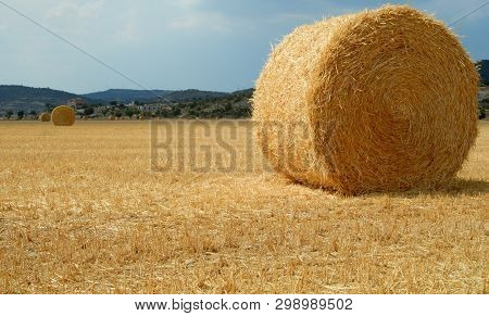 Golden Field With Straw Bales After Harvest In A Sunnny Day In Catalonia.