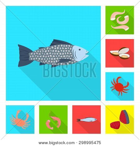 Vector Illustration Of Product And Ocean Sign. Set Of Product And Restaurant Vector Icon For Stock.