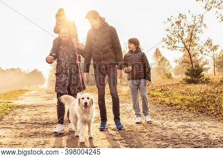 Father With Three Sons On A Walk With Goldern Retriever Dog In Sunny Beautiful Autumn Nature. Happy 