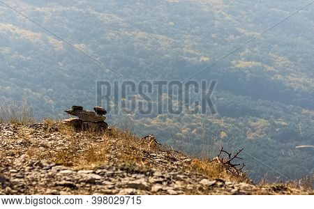 Mountains And Forests Of Crimea. Coniferous And Deciduous Trees On The Hills Of The Mountains And Ro