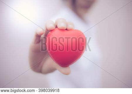 Red Heart In Hand Love Concept Valentine Day.