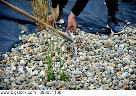 Delivery Of Gray River Pebbles Like Mulch To Flower Beds In The Garden Using A Wheelbarow From The B