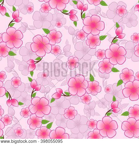 Seamless Vector Background Pattern Of Pink Cherry Blossoms Or Japanese Sakura Blossom Flowers Of Spr