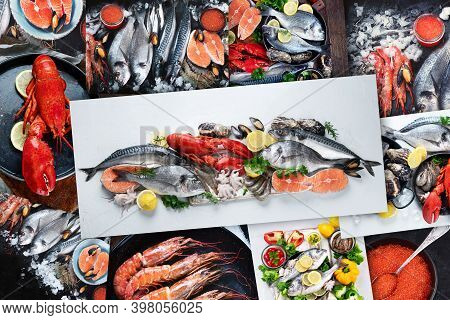 Collage Of Fresh Fish And Seafood
