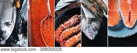 Collage Of Fresh Fish And Seafood