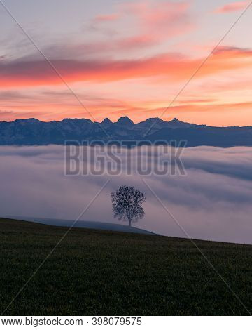 Sunnset And Fogg With Tree And Mountains In Switzerland
