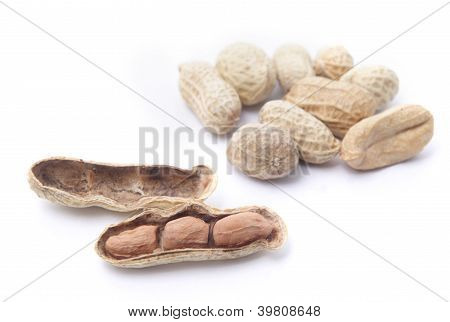 peanut