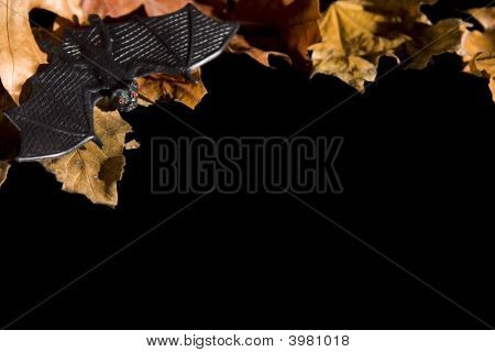 Halloween-Serie auf schwarz