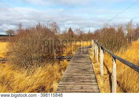 Boardwalk Thought The Moorland Of The High Fens In Belgium In Autumn