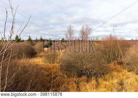 Colorful Landscape In The High Fens In Belgium In Autunm