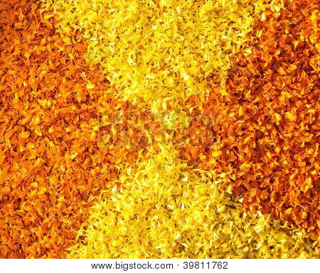 Amarillo y naranja pétalos de caléndula