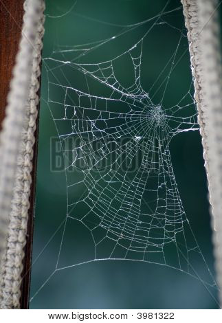Web