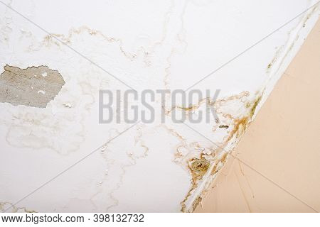 Rain Water Leaks On The Ceiling Because Of Damaged Roof Causing Decay, Peeling Paint And Moldy.