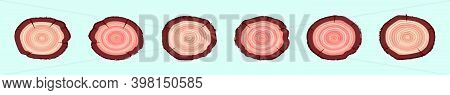 Set Of Tree Rings Cartoon Icon Design Template With Various Models. Modern Vector Illustration Isola