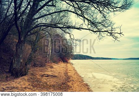 Bare Trees On The Banks Of A Frozen River In Winter
