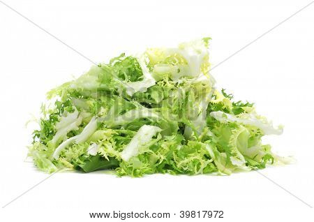 흰색 바탕에 escarole 꽃 상 추의 몇 가지 다진된 나뭇잎
