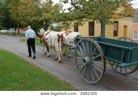 19 Ème siècle villageois conduit Cart