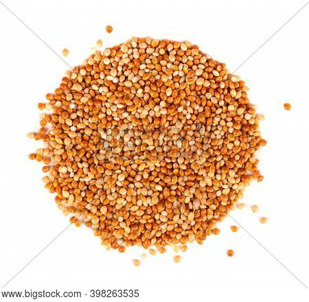 Millet Isolated On White Background. Unpeeled Millet Seeds. Top View.