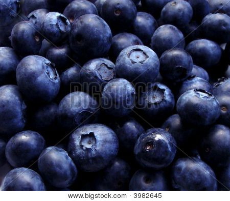 Blueberries-Closeup