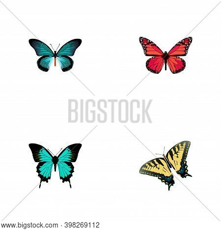 Set Of Moth Realistic Symbols With Tailed-blue, Hairstreak, Pink-wing And Other Icons For Your Web M