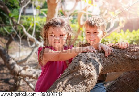 Two Children Smite On Tree Trunks. Boy And Girl Climbed A Tree And Look From Above