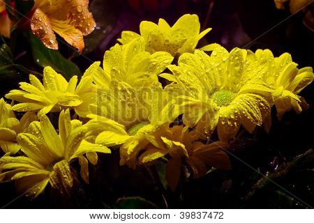 花