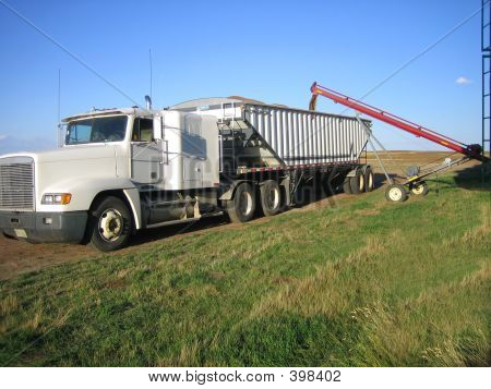 Carico camion di grano