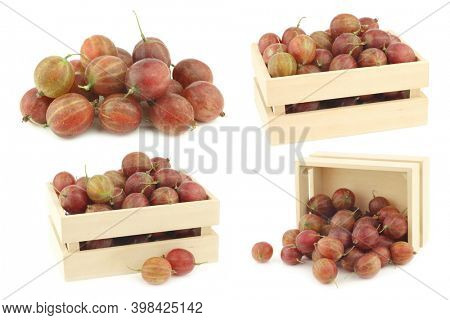 gooseberries (Ribes uva-crispa) in a wooden box on a white background