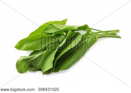 Bunch Of Fresh Green Sorrel Leaves On White Background