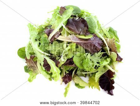 Mesclun salat