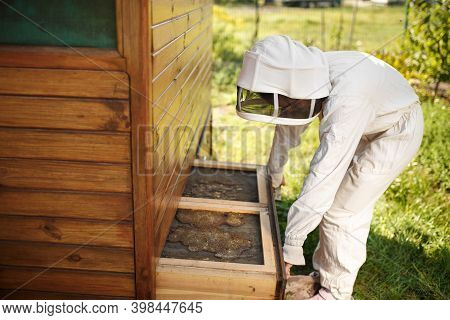 Beekeeper In Suit Is Working At Apiary. Opening Wooden Beehive Apiculture Concept.