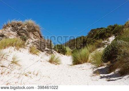 Coastal Sand Dune Landscape Of Fish Hoek, Cape Town