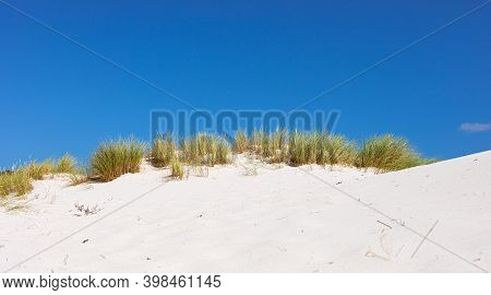 Coastal Sand Dune Landscape Of Fish Hoek, Cape Town