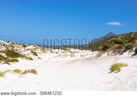Coastal Sand Dune Landscape Of Fish Hoek, Cape Town