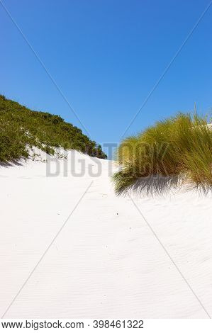 Coastal Sand Dune Landscape Of Fish Hoek, Cape Town