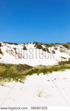 Coastal Sand Dune Landscape Of Fish Hoek, Cape Town
