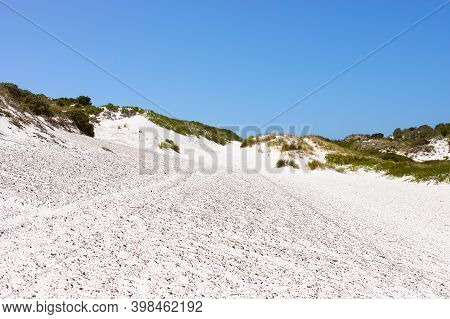 Coastal Sand Dune Landscape Of Fish Hoek, Cape Town