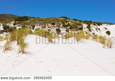 Coastal Sand Dune Landscape Of Fish Hoek, Cape Town