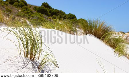 Coastal Sand Dune Landscape Of Fish Hoek, Cape Town