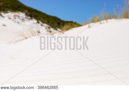 Coastal Sand Dune Landscape Of Fish Hoek, Cape Town