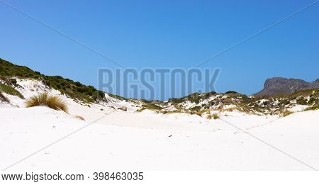 Coastal Sand Dune Landscape Of Fish Hoek, Cape Town
