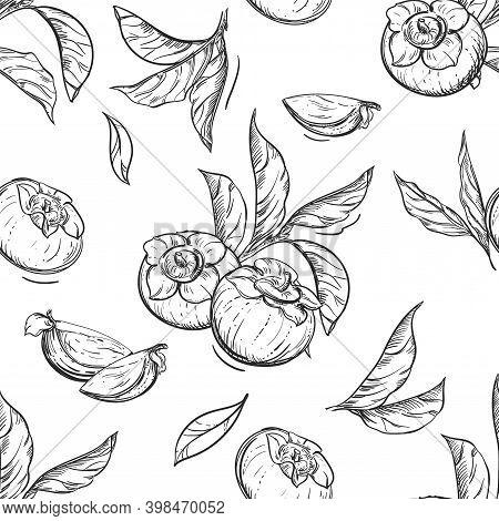 Detailed Hand Drawn Black And White Illustration Seamless Pattern Of Persimmon, Date-plum, Leaf. Ske